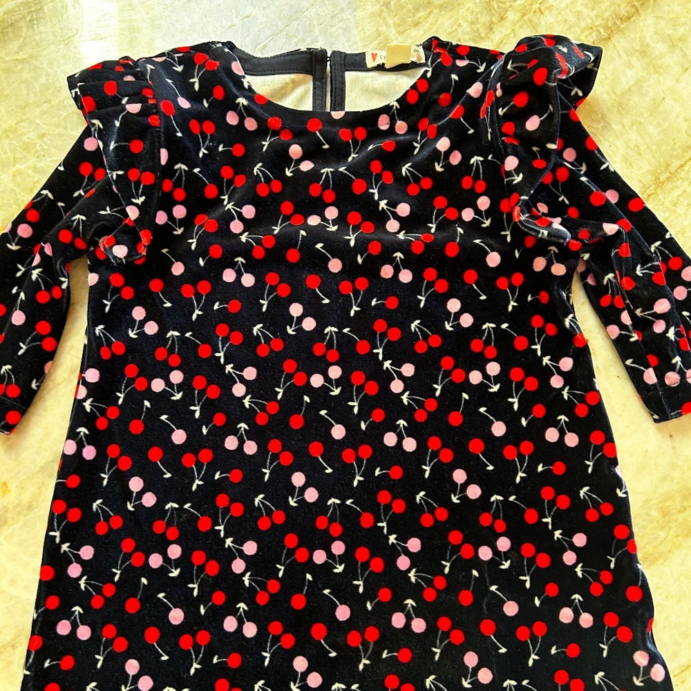 Jcrew Crew Cuts girls party dress